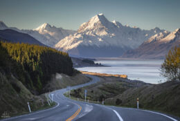 New Zealand 2025 (1 group) (2/66)